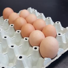 XL-es Heppenheimer szabadtartású tyúktojás XL-es Heppenheimer szabadtartású tyúktojás