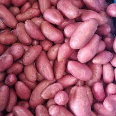 Bio Salátakrumpli- Cherie - 990 Ft/kg