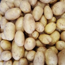 Bio Krumpli Sárga - 830/kg
