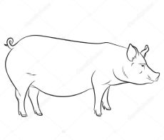 Fejhús kicsontozva ( archús, fül, orr, pofahús )   kb 1 kg/db - 1.500 Ft/kg - GYORSFAGYASZTOTT