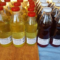 Bodza szörp - 500ml