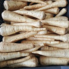 Bio Petrezselyemgyökér 2.990 ft/kg