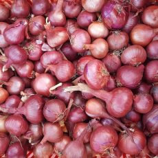 Bio Lilahagyma - 1.460 Ft/kg