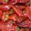 Kápia paprika - 1790/kg
