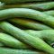 Bio Kígyóuborka - 1.490 Ft/kg