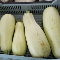 Spárgatök - rántani való méret - 990 Ft/kg