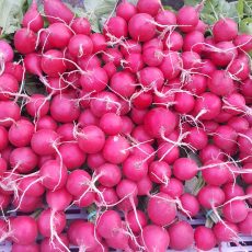 Bio Hónaposretek